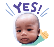 493334831