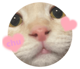 493346307