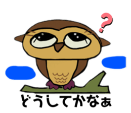 493346538