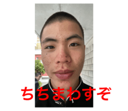 493350606