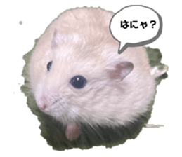 493357670