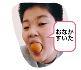 493363341