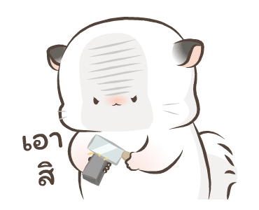 ลายที่ 19