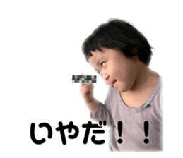 493370019