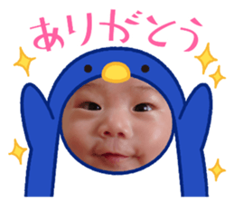 493370734