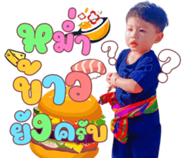 493372578