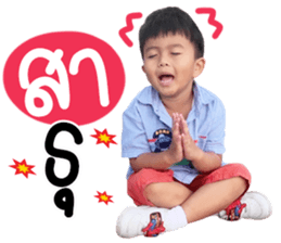 493372686