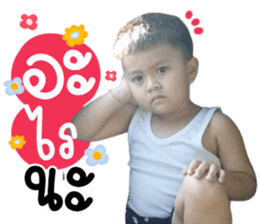 493372687