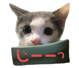 493388558