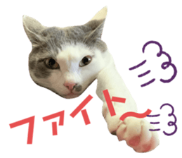 493388569