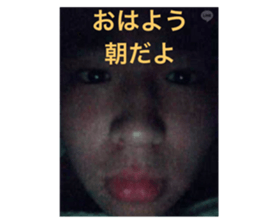 493399774
