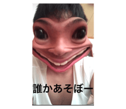 493399778