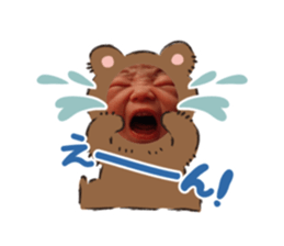 493400302