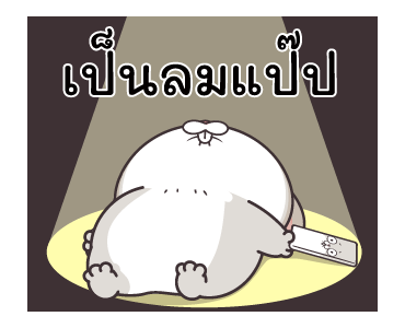 ลายที่ 13