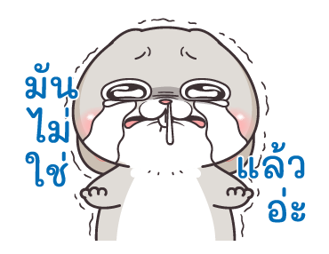 ลายที่ 15