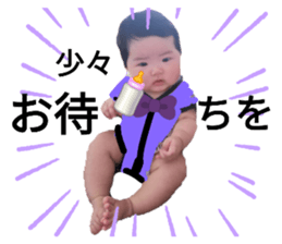 493419521