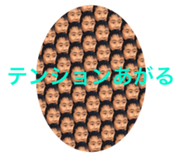 493424659