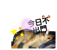 493432323