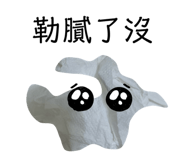 493436635