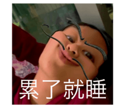 493437385