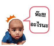 493438619