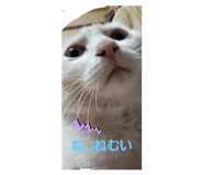 493441185