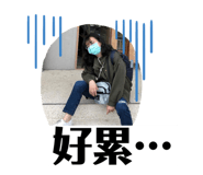 493451976