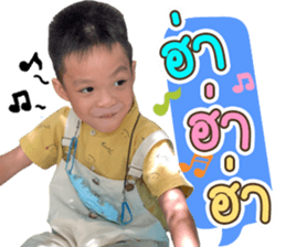 493453998