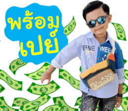 493454007