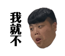 493454615