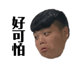 493454616