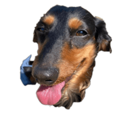 493465840