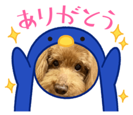 493469139