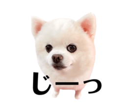493475716