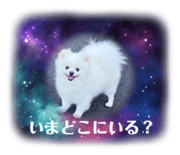 493475732