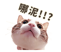 493495831