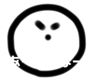 493503801