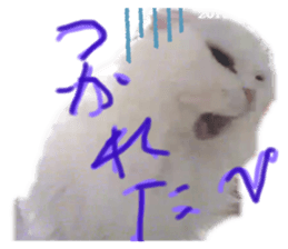 493506742