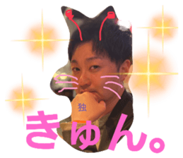 493513576