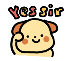 493544076