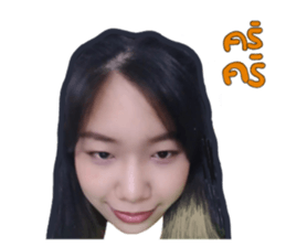 493552039