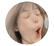 493566288