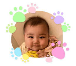 493577550