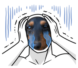 493579024