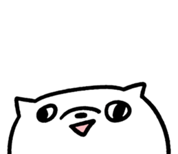 493584041