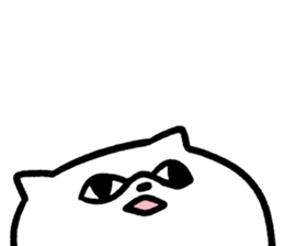 493584046