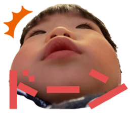 493586198