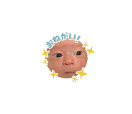 493587180