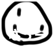 493599905