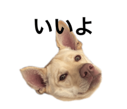 493607299